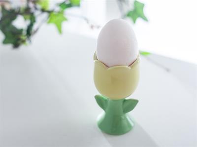 Görsel