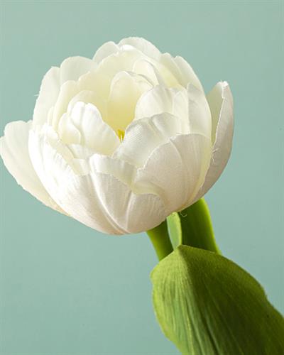 Tulip Изкуствено Цвете Един Стрък 27,5 cm Бял