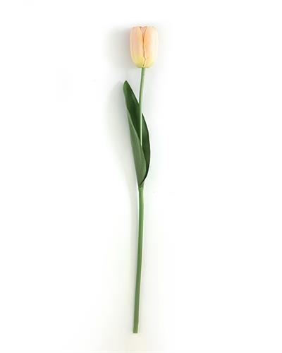 Tulip Garden Изкуствено Цвете Един Стрък 45 см Шампанско