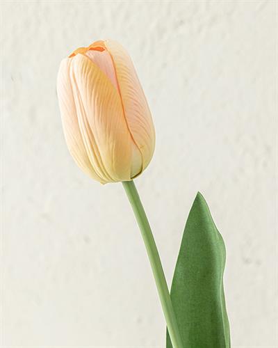 Tulip Garden Изкуствено Цвете Един Стрък 45 см Шампанско