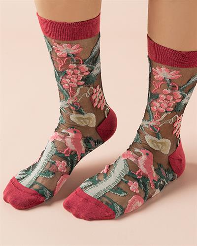 Wild Flower Нюд Чорап Дамски, Розово, 36-40