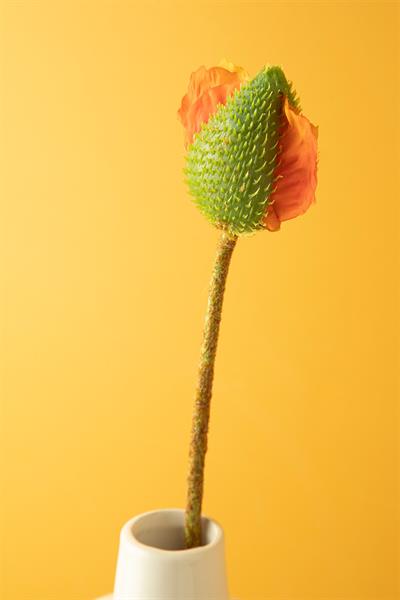 Wild Flower Изкуствено Цвете Един Стрък 73 см Оранжев