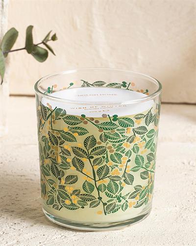 Wish of Winter Scented Candle 270 g Green