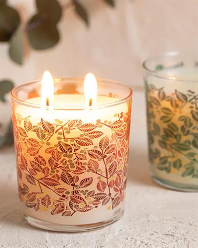 Wish of Winter Scented Candle 270 g Green