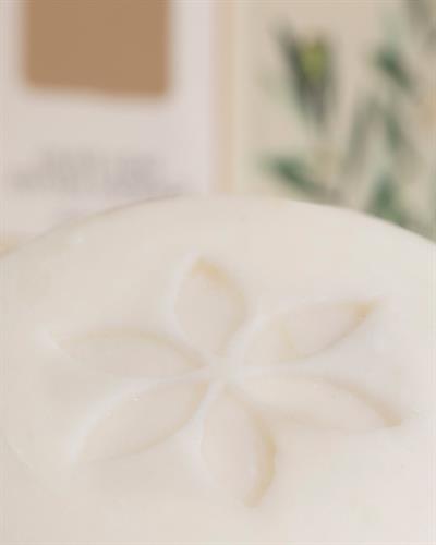 Zeytin Yaprağı Özlü Solid Soap 4x45 gr White