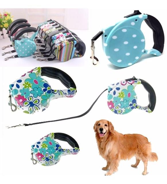 Desenli Köpek Tasması - Pup Style