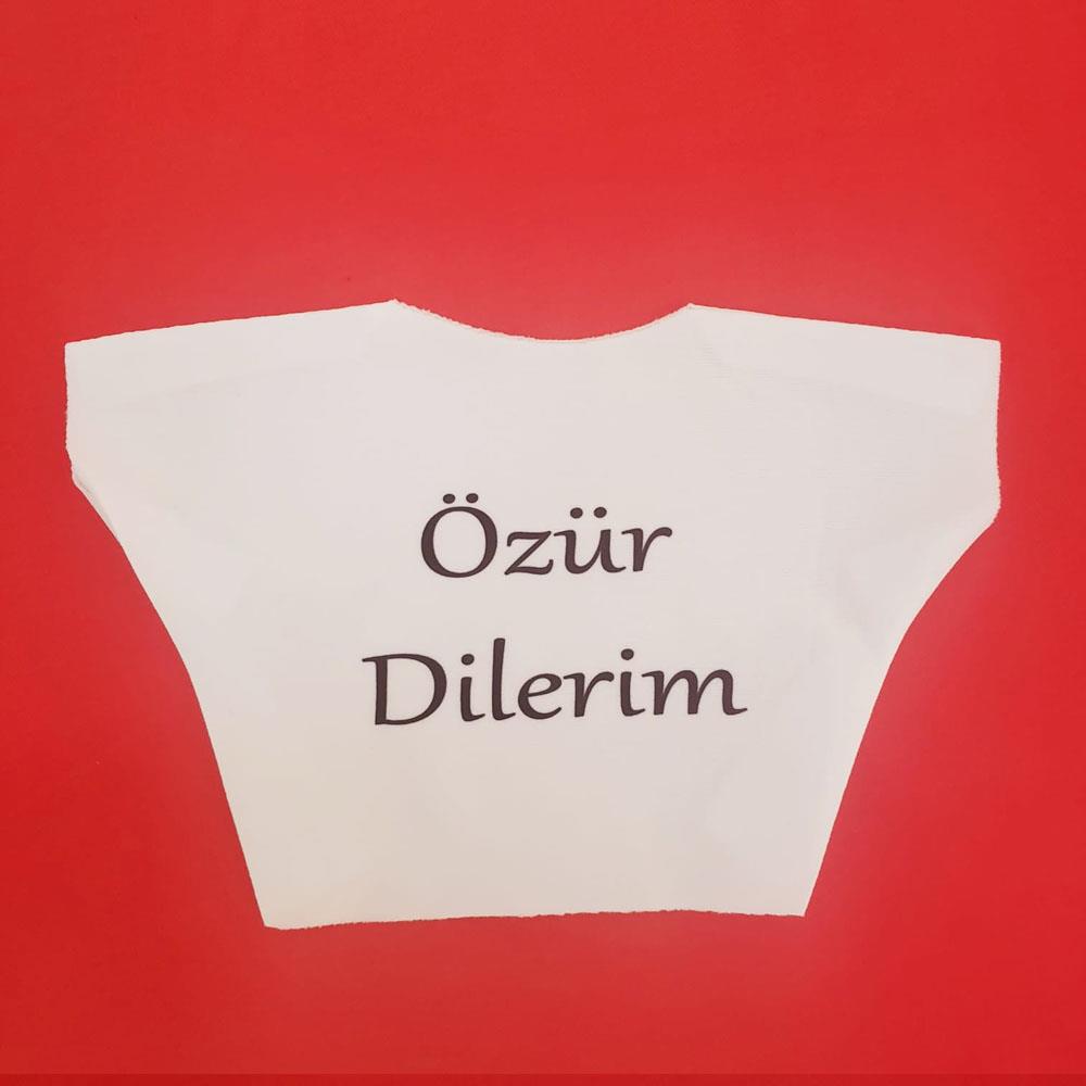 Özür Dilerim Yazılı Peluş Oyuncak Ayı Tişörtü
