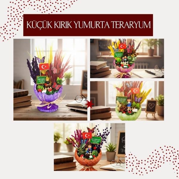 Küçük Kırık Yumurta Teraryum - Öğretmenler Günü Hediyesi