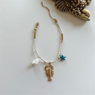 Çelik Istakoz Charmlı İp Halhal