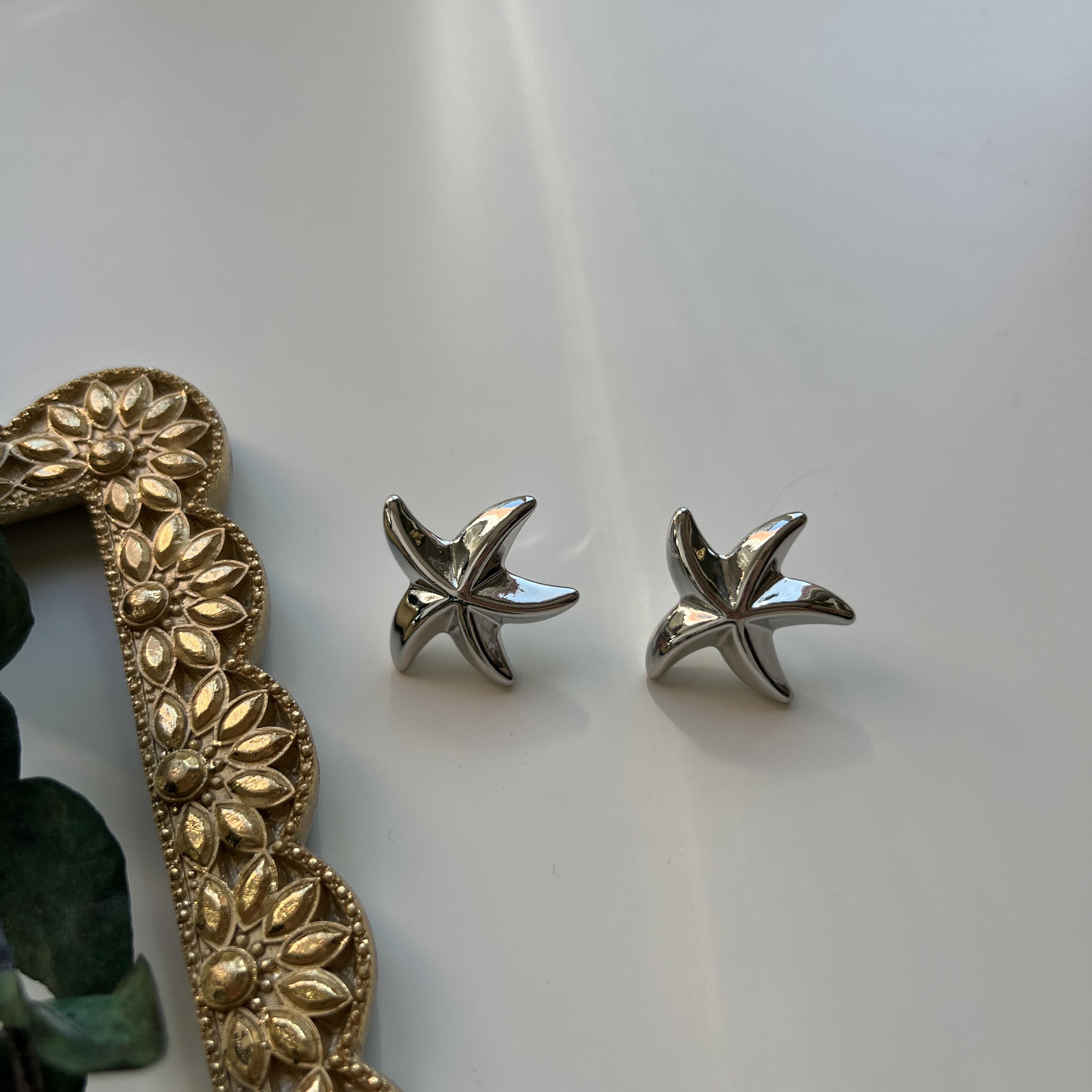 Silver Deniz Yıldızı Küpe