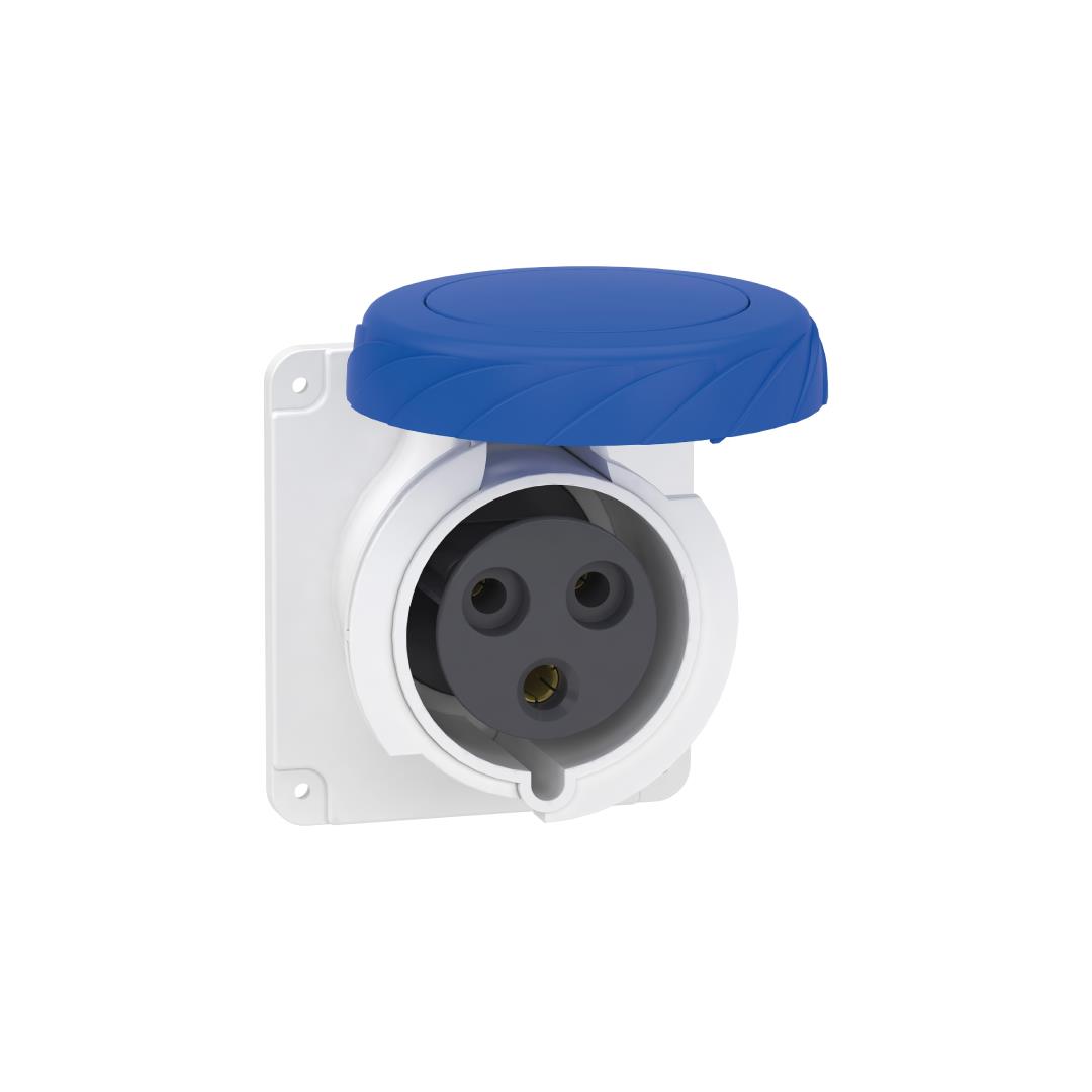 SCHNEIDER - 3x32A, monofaze, 2P+T, IP67, VİDALI, Düz Makine Prizi 