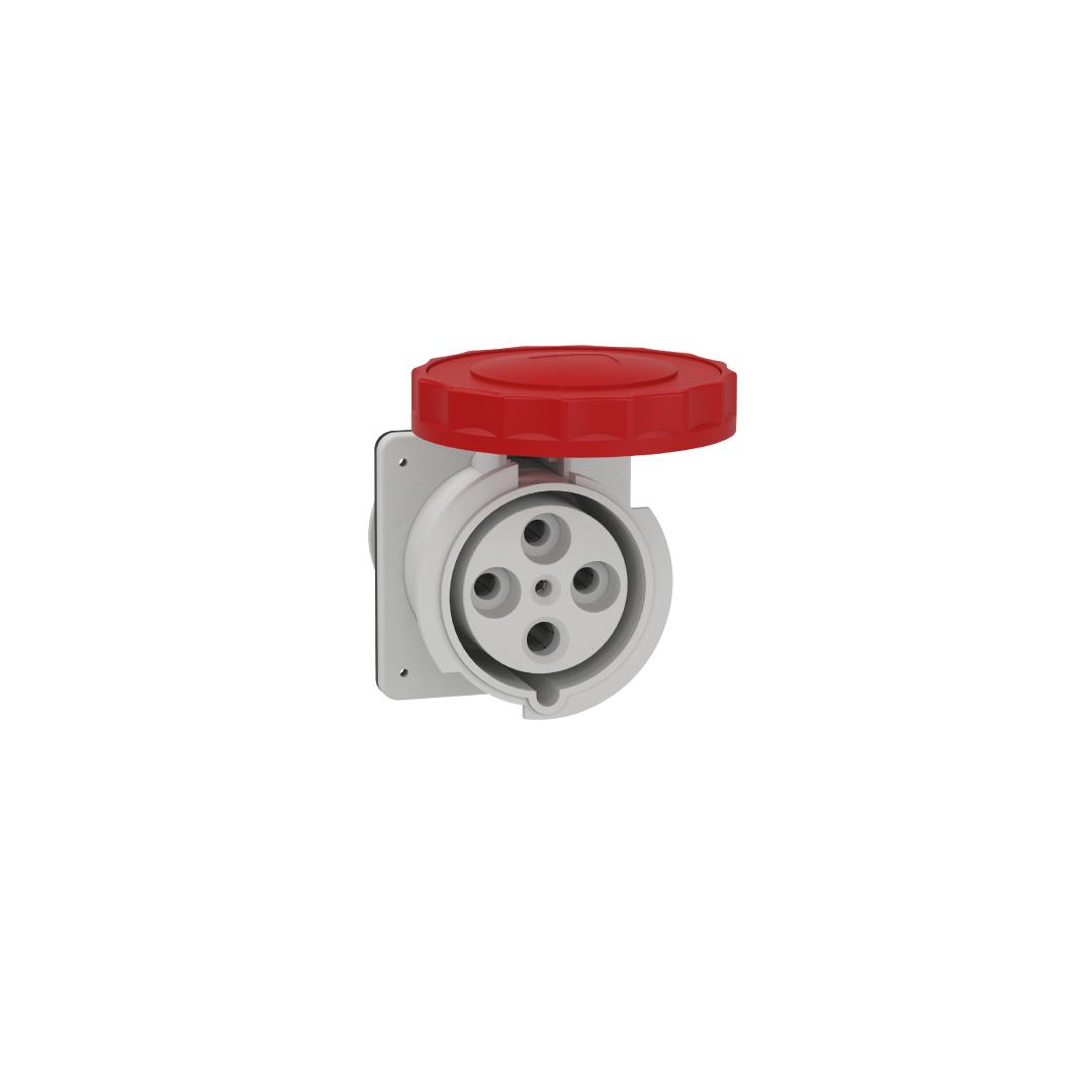 SCHNEIDER - 4x125A, trifaze, 3P+N, IP67, VİDALI, Düz Makine Prizi