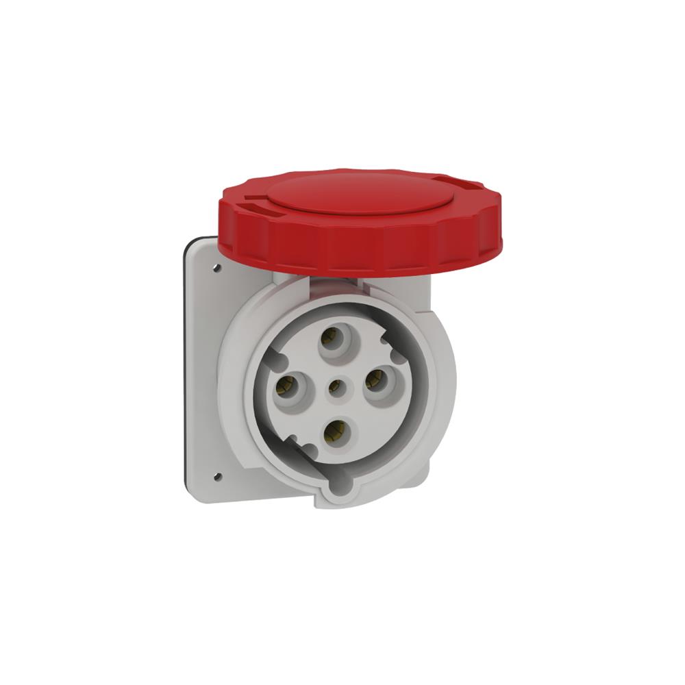 SCHNEIDER - 4x63A, trifaze, 3P+N, IP67, VİDALI, Düz Makine Prizi