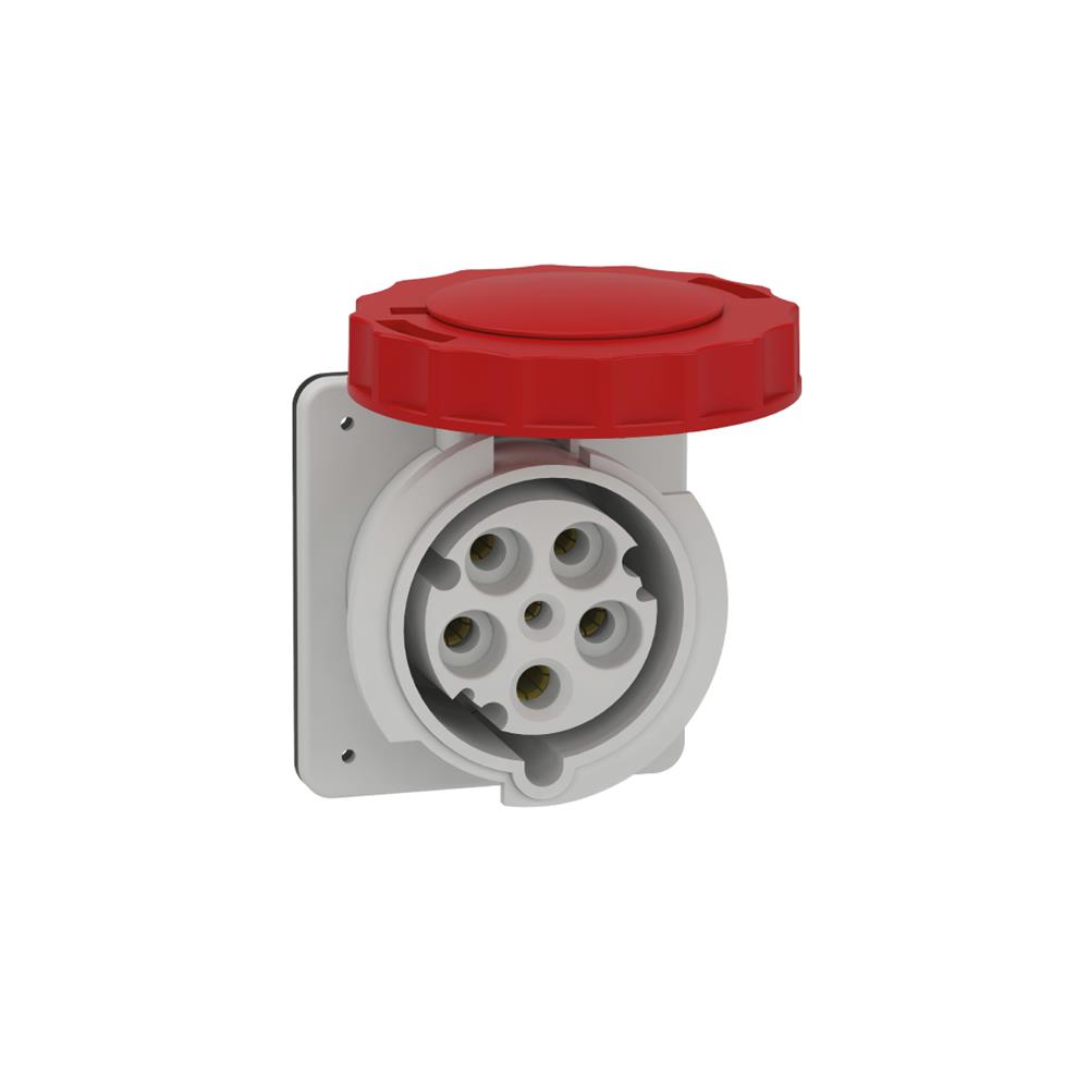 SCHNEIDER - 5x63A, trifaze, 3P+N, IP67, VİDALI, Düz Makine Prizi