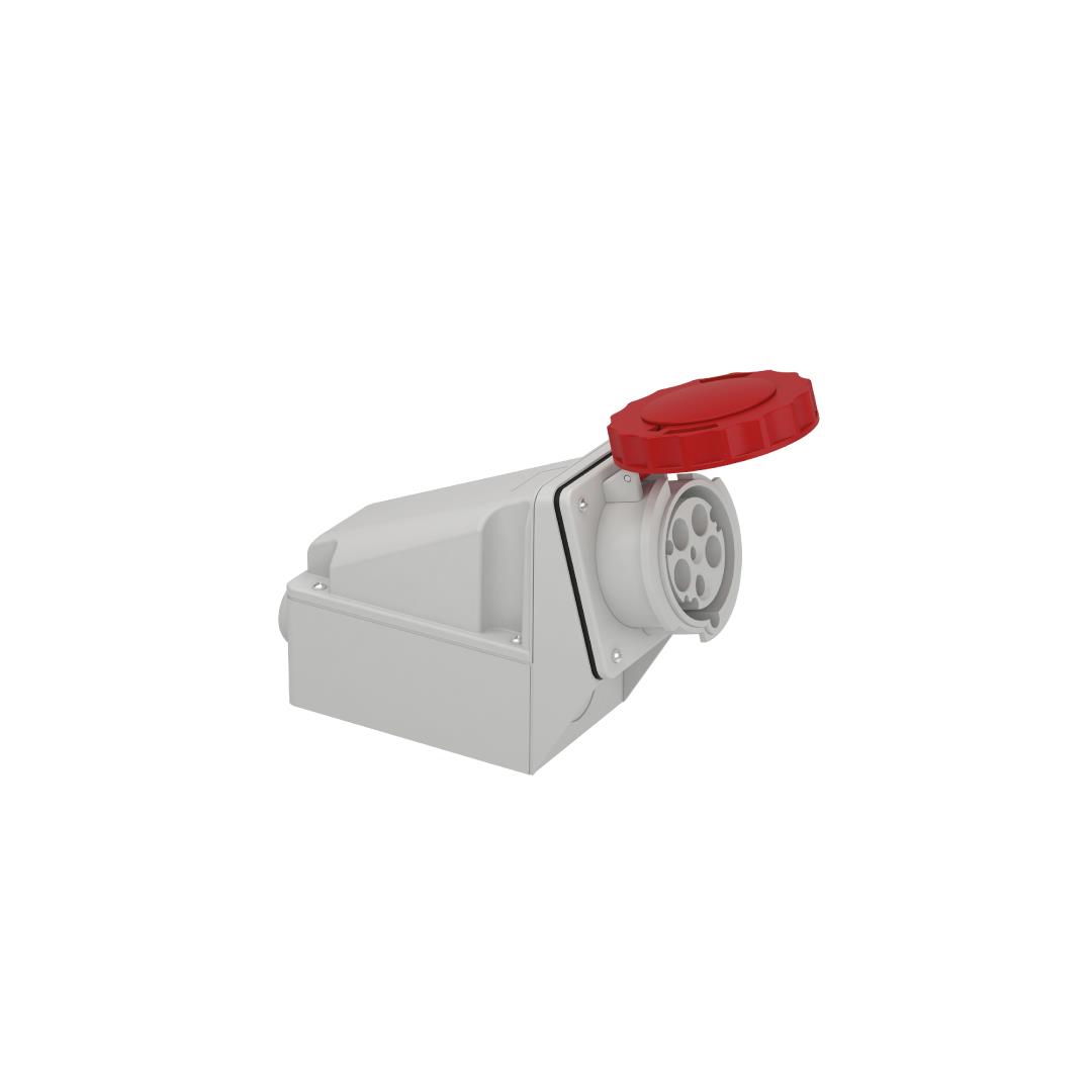 SCHNEIDER - 5x63A, trifaze, 3P+N+T, IP67, VİDALI Duvar Prizi 