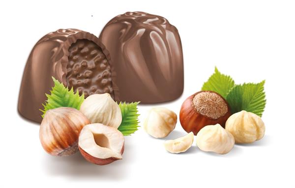 MOMENTS Gift Box with handle- Hazelnut