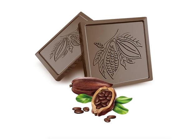 PICASSO Bitter Çikolata Tablet (1 ADET)
