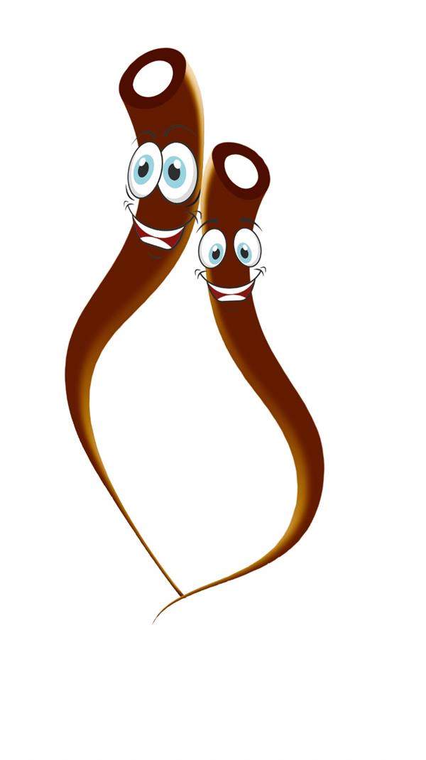 VANELLİ SOURMATE Kolalı Şekerleme 24 ADET