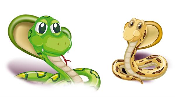 VANELLI COBRA Jel Şekerleme - 24 ADET