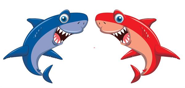 VANELLI SHARK Jel Şekerleme - 24 ADET