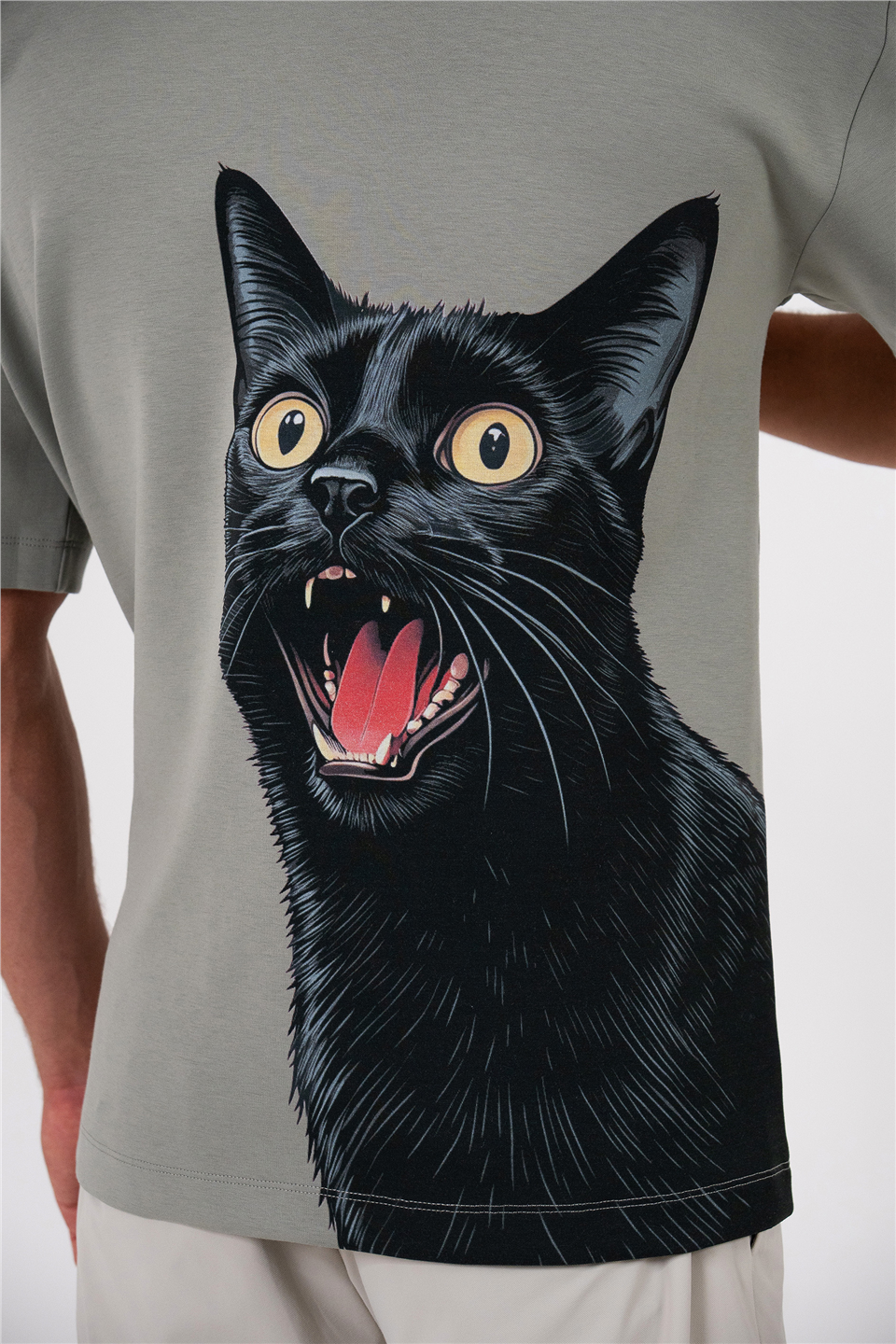 Bisiklet Yaka Arka Bedeni Kedi Baskılı Erkek T-shirt