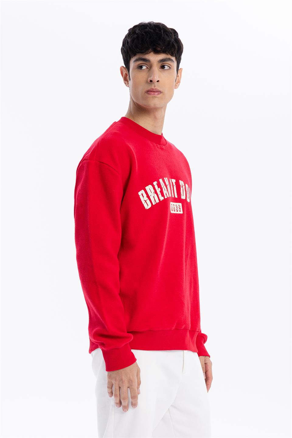 Bisiklet Yaka Baskılı %100 Pamuk Polar Erkek Sweatshirt