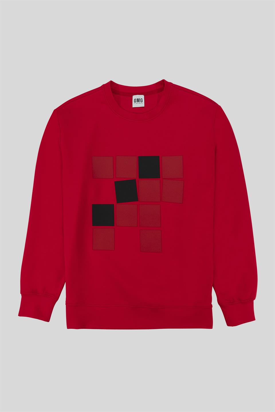 Bisiklet Yaka Baskılı Regular Fit Erkek Sweatshirt