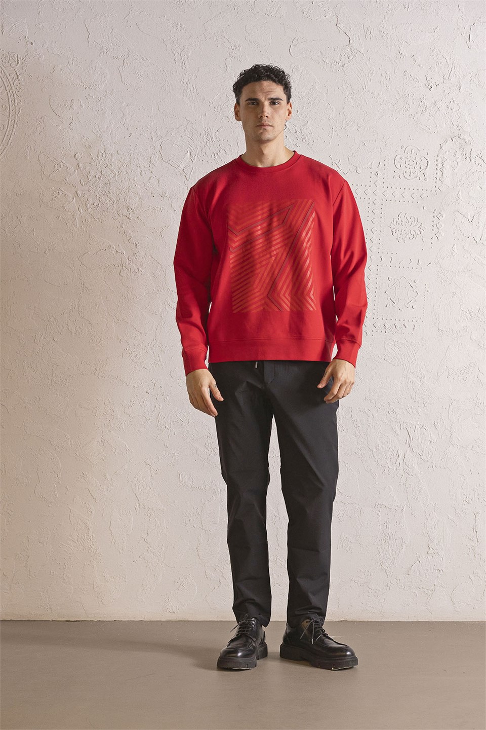 Bisiklet Yaka Geometrik Baskılı Erkek Sweatshirt