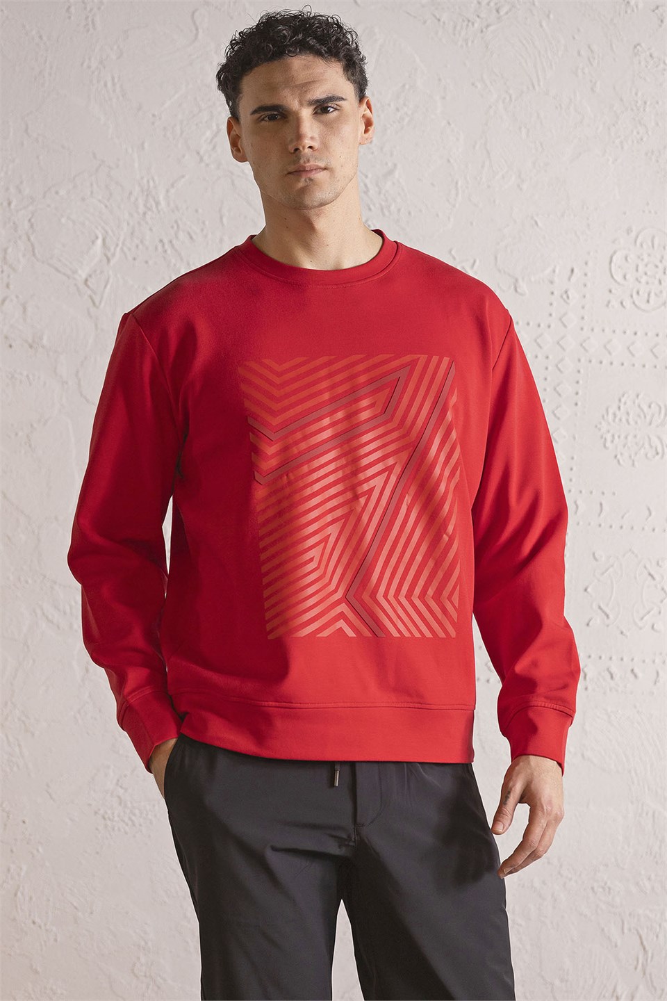 Bisiklet Yaka Geometrik Baskılı Erkek Sweatshirt