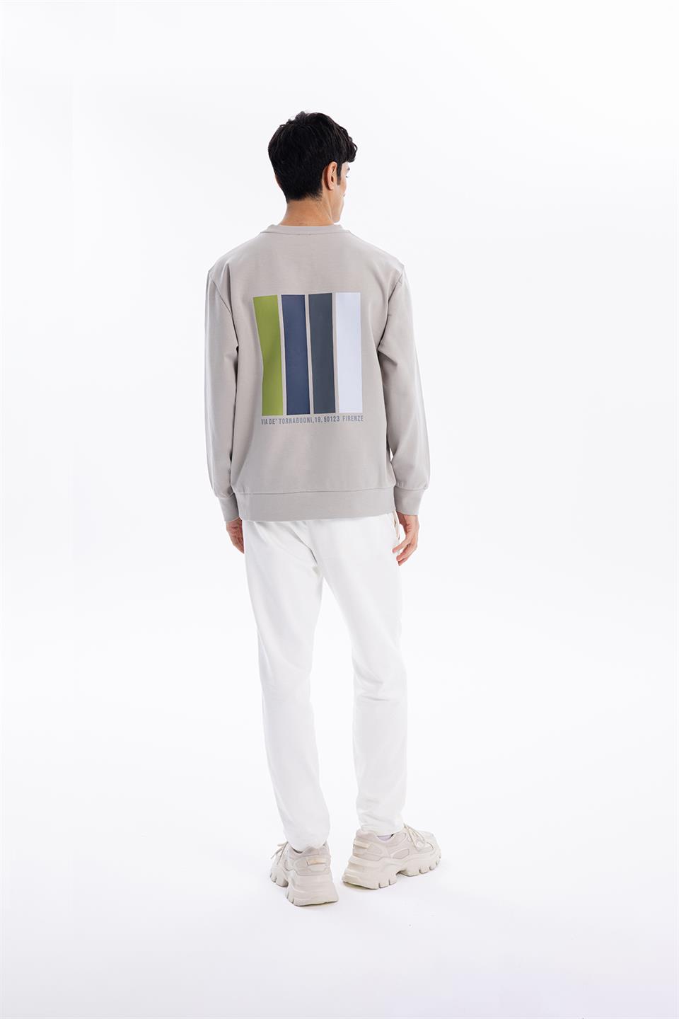 Bisiklet Yaka Göğsü Nakış Detaylı Colour Block Baskılı Erkek Sweatshirt