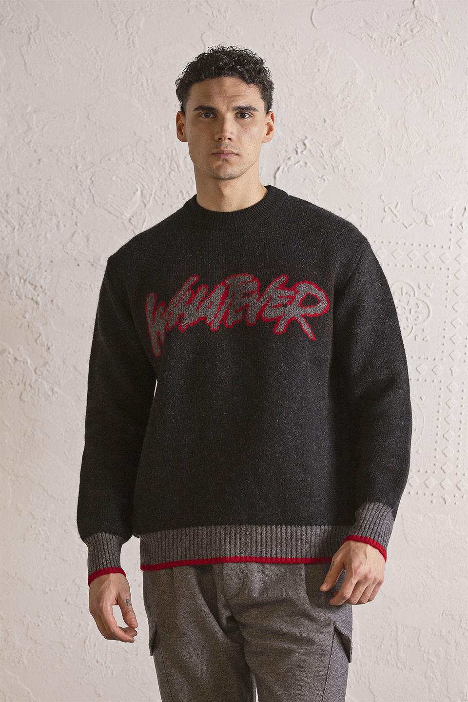 Bisiklet Yaka WHATEVER Tasarımlı Erkek Kazak