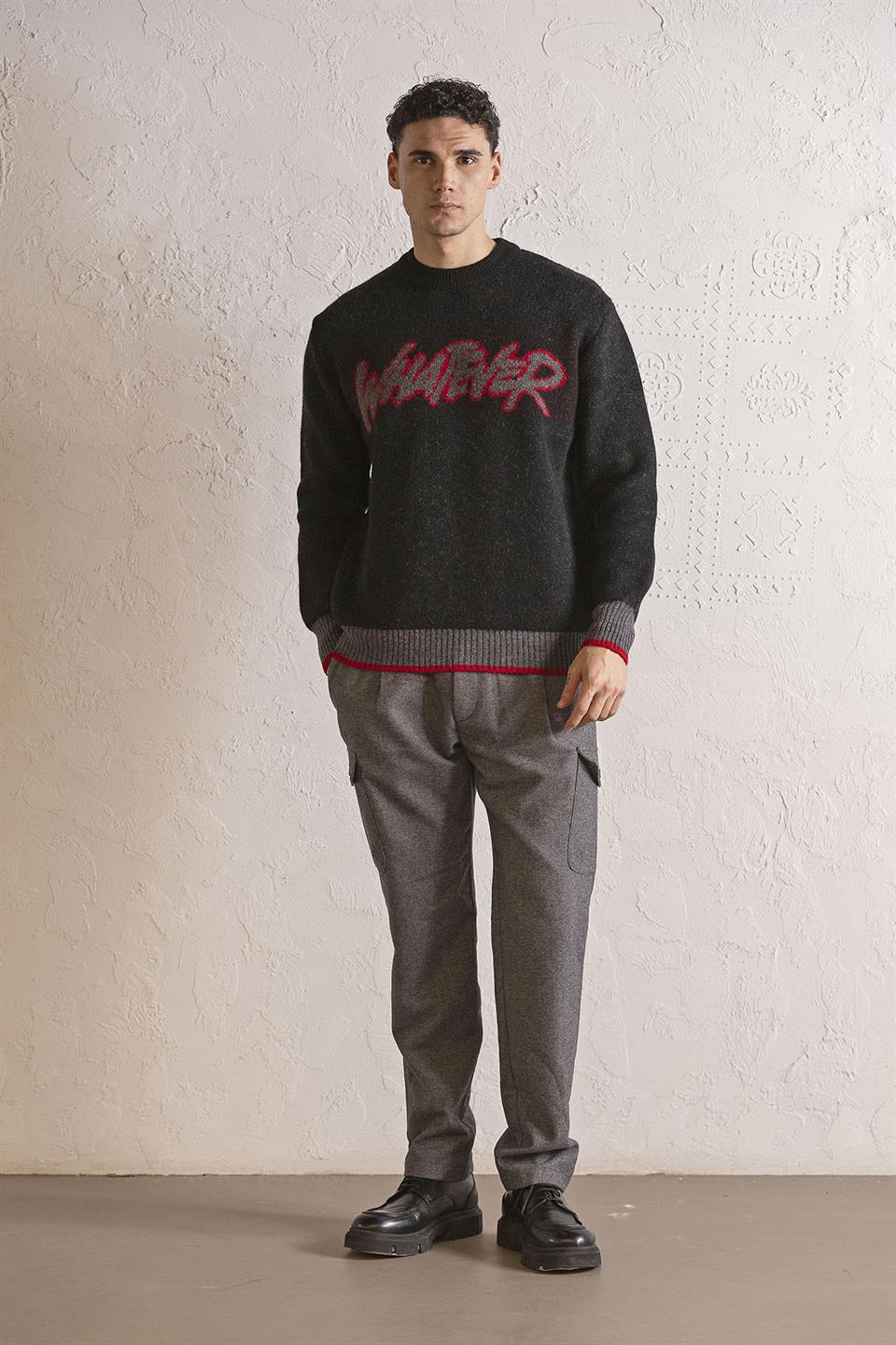 Bisiklet Yaka WHATEVER Tasarımlı Erkek Kazak