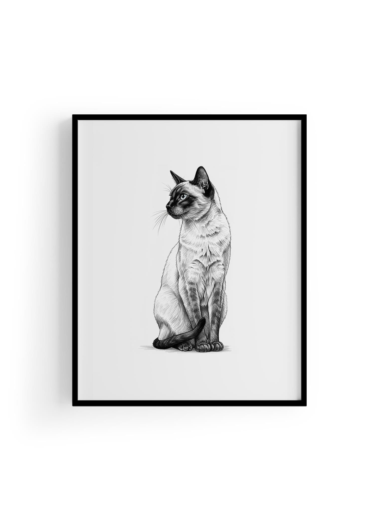 Karakalem Koleksiyonu Kedi Posteri