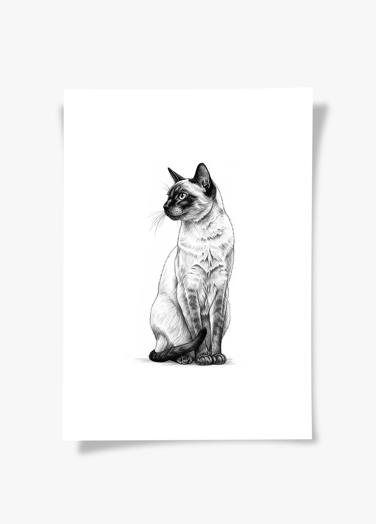 Karakalem Koleksiyonu Kedi Posteri