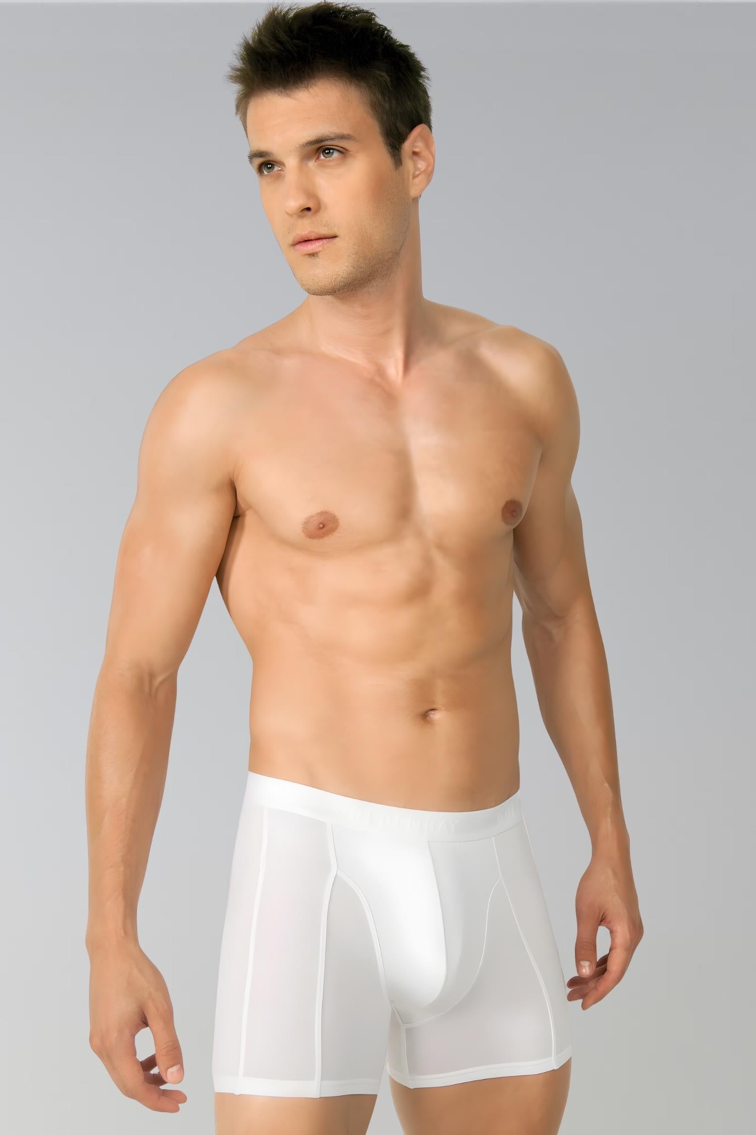 Erkek Modal Klasik Boxer