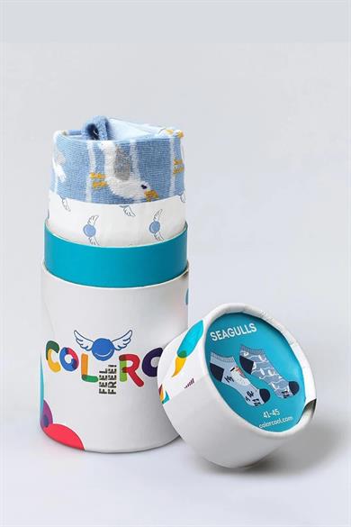 Seagulls Desenli Eşi Farklı Patik Çorap