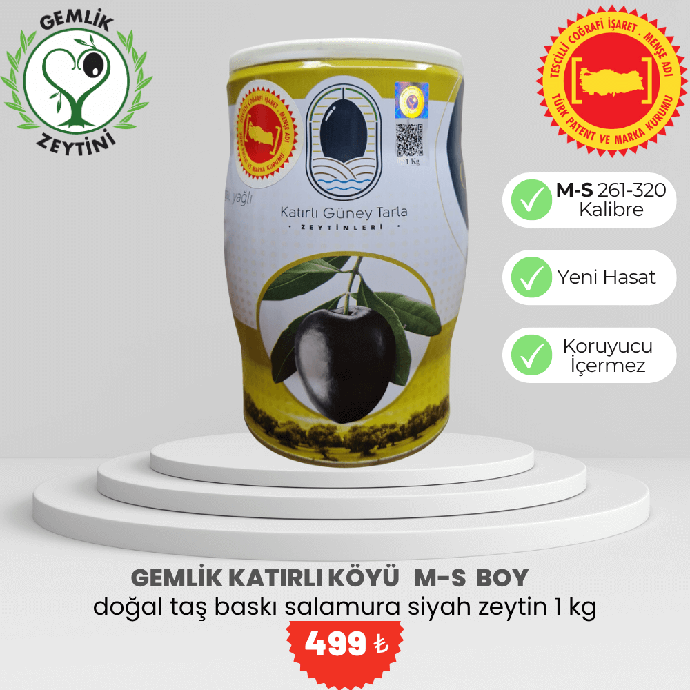 Katırlı Zeytini
