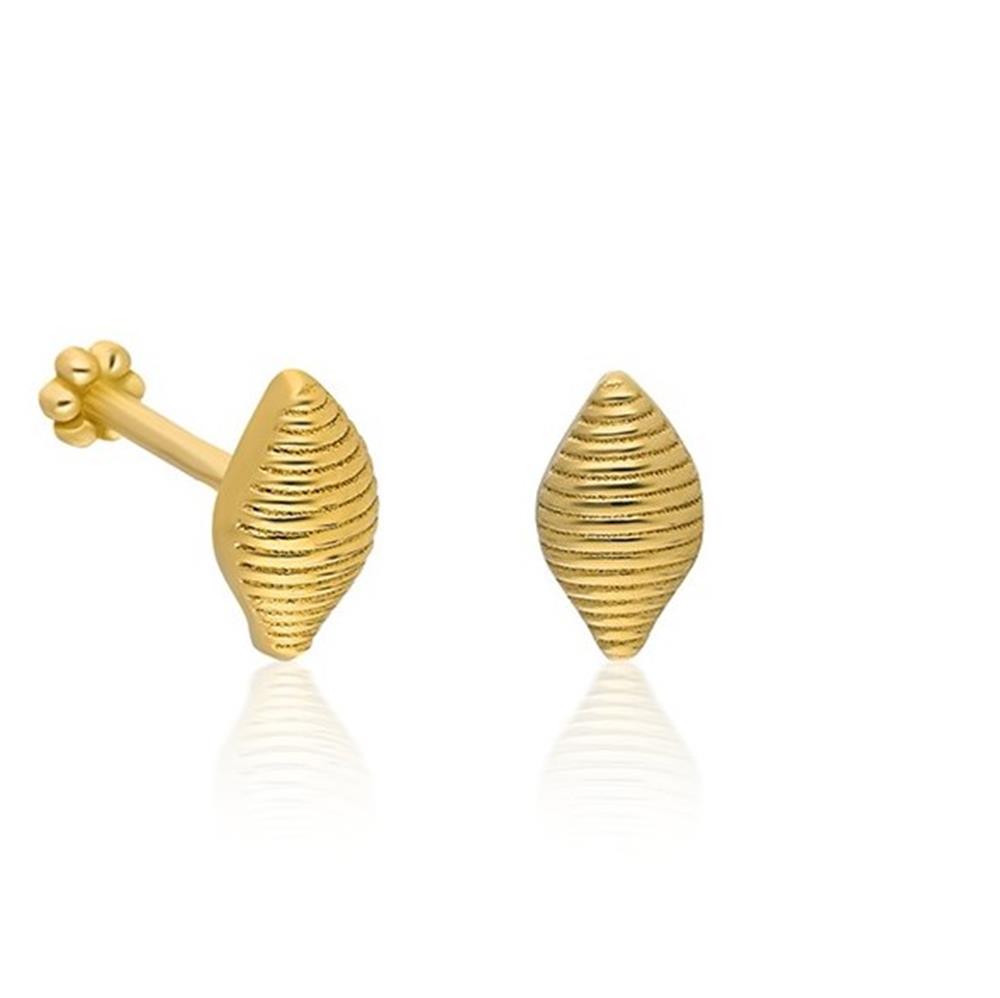 Deniz Kabuğu Piercing
