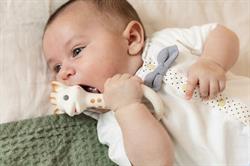 Sophie la Girafe, So Pure ,Sophie Halka Diş Kaşıyıcı