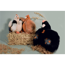 Doudou Oyuncak, Bej Tavuk 20 cm