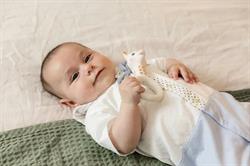 Sophie la Girafe, So Pure ,Sophie Halka Diş Kaşıyıcı