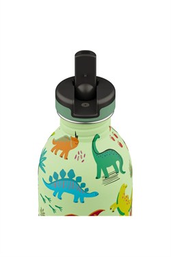 24Bottles Kids Bottle Pipetli Paslanmaz Çelik Çocuk Su Matarası 250 ml, Jurassic Friends