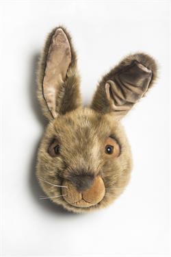 Duvar Aksesuarı, Kahve Tavşan