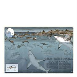 Atlas Of Ocean Adventures