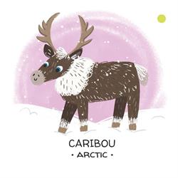 Animals To Save - Polar Ice