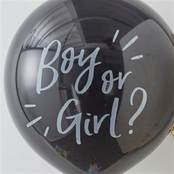 Ginger Ray - Boy Or Girl - Cinsiyet Balonu