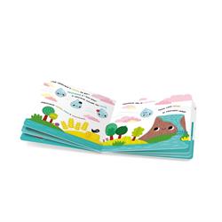 Su Döngüsü - Puzzle ve Kitapçık