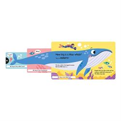 How Wide Is A Whale - Board Book