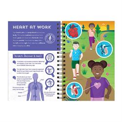 Human Body - Scratch, Discover And Learn