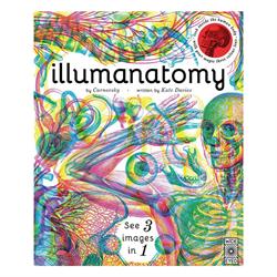Illumanatomy